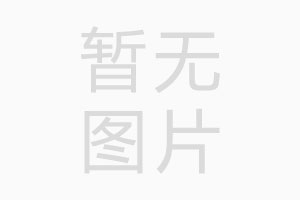 重庆市第八中学校