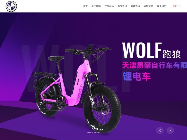 天津易豪自行车预览图