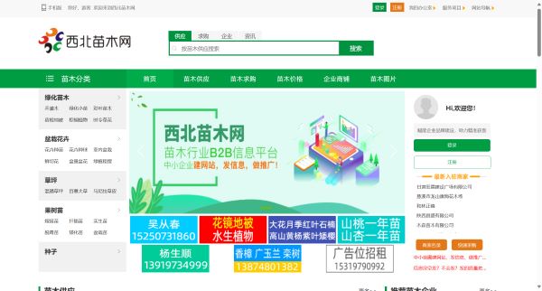 西北苗木网--苗木求购|绿化苗木价格|陕西苗木