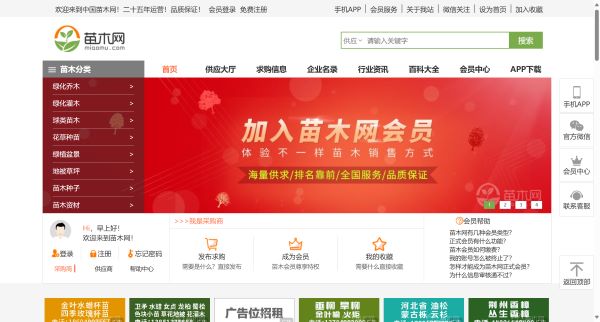 中国苗木网预览图