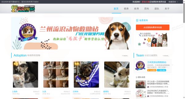 波波宠物领养网-宠物狗宠物猫免费领养