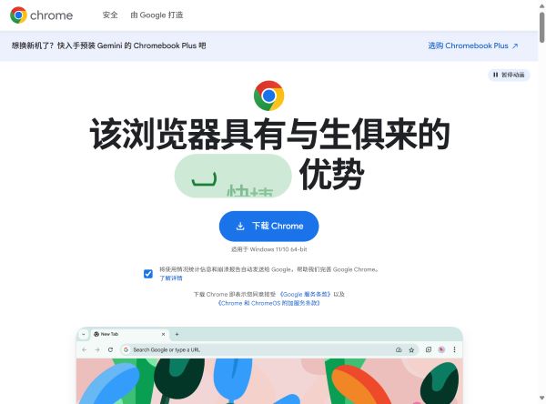 Google浏览器预览图